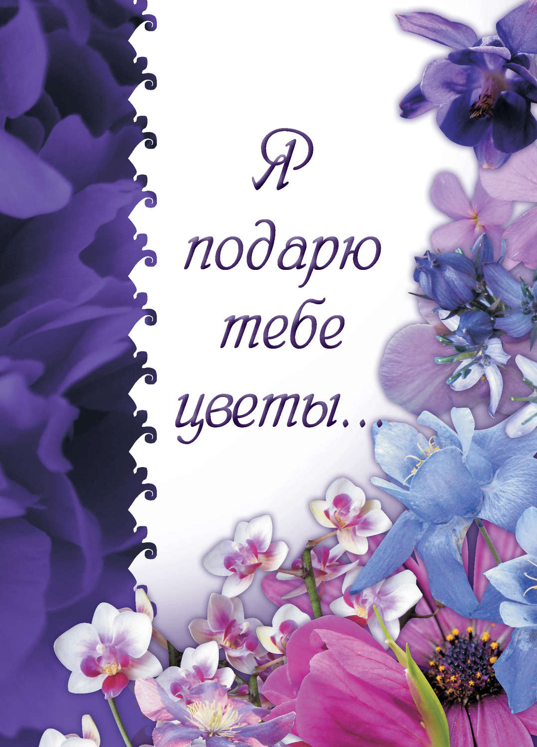 Стихи цветы картинки
