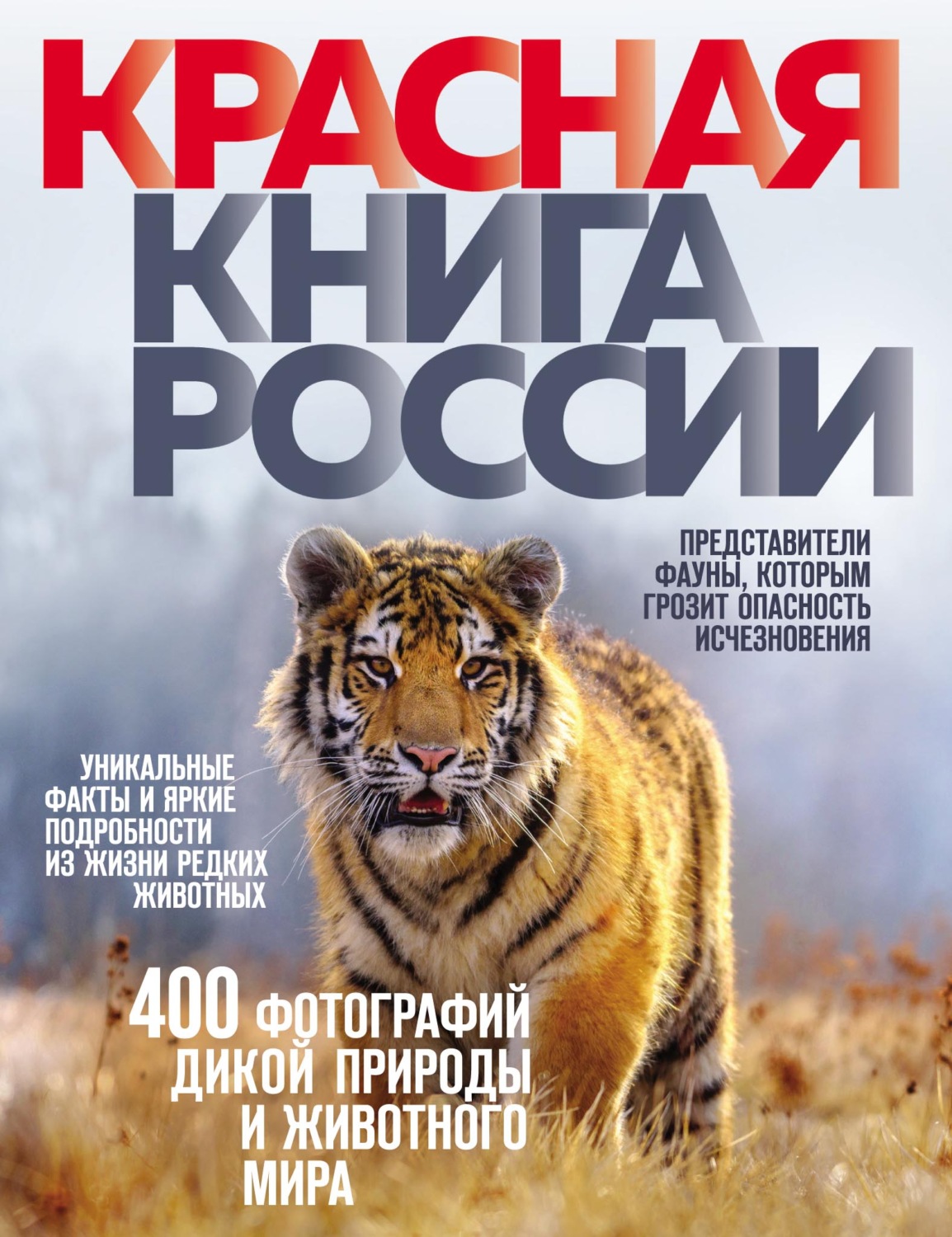 Фото нарвала из красной книги