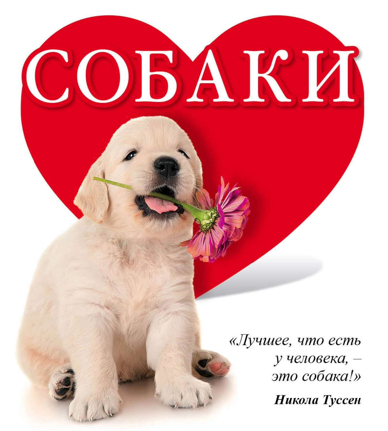 Поздравлениями, картинка с надписью моя собачка
